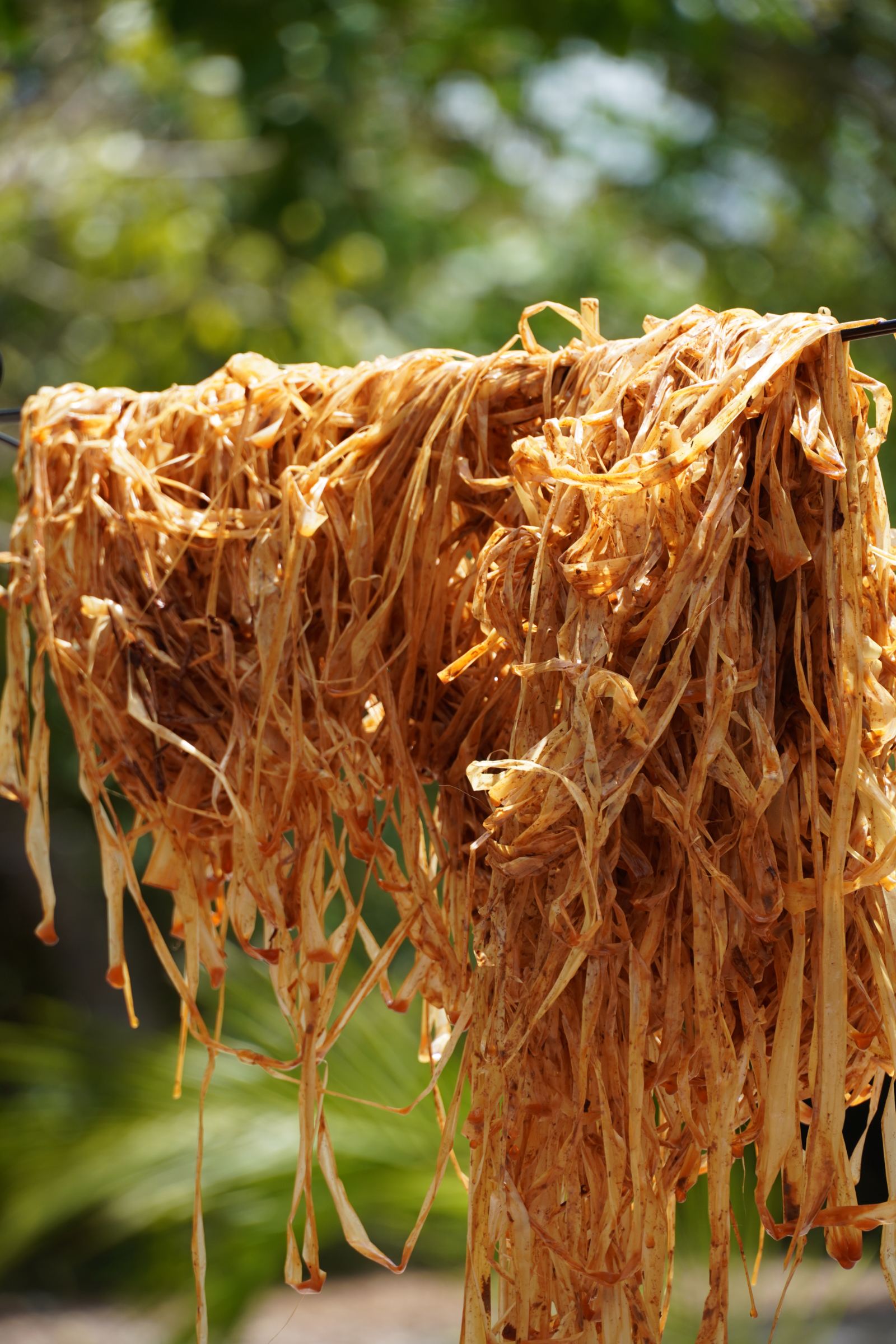 Hand-dyed terracotta fibers drying